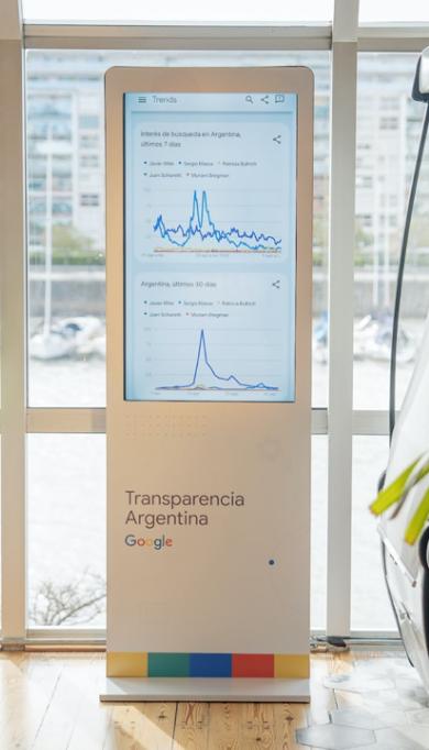 Google: información interactiva, vista principal